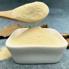 Yeast Protein Extract
